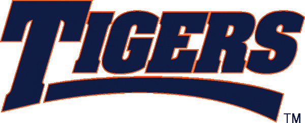 Auburn Tigers 1998-2003 Wordmark Logo diy DTF decal sticker